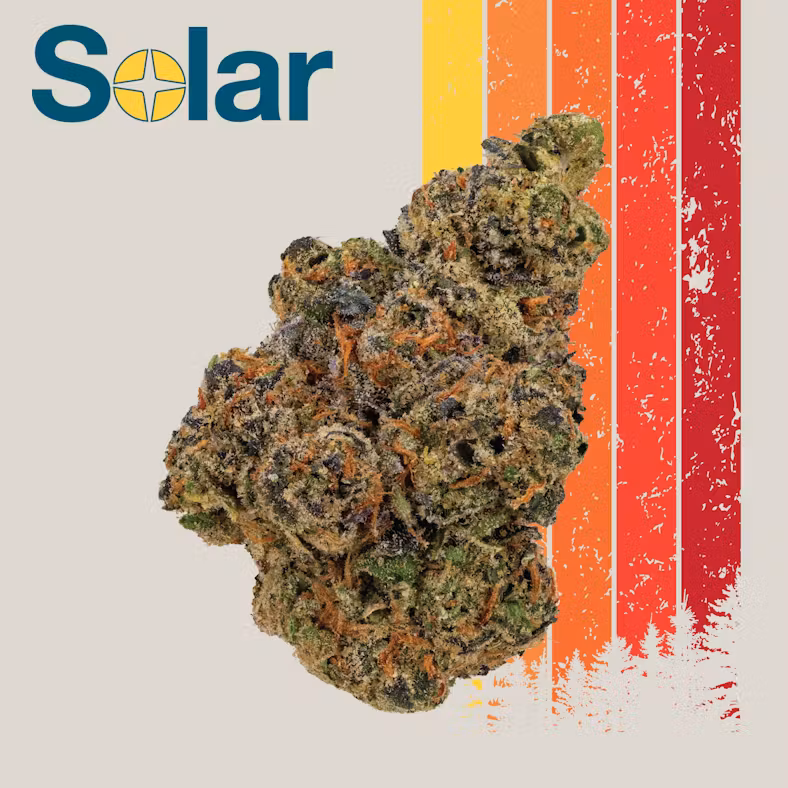 Photograph of product: Solar - Apples & Bananas S1 - Flower - 3.5g