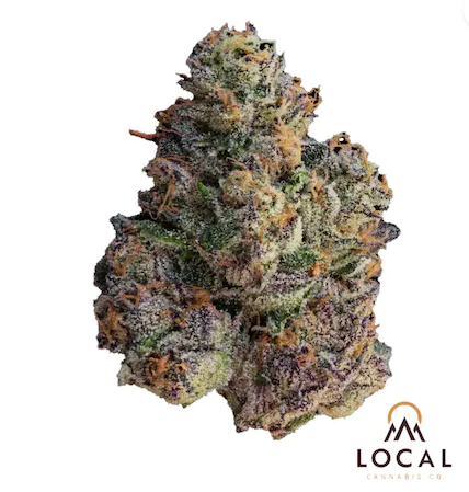 Photograph of product: Local Oui'd: Flower | Sherbhead | 3.5g