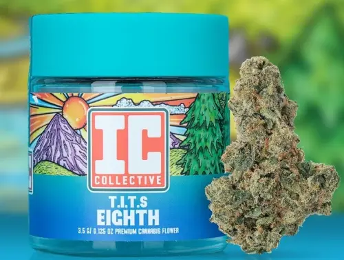 Photograph of product: IC Collective | Flower | T.I.T.S. | 3.5g
