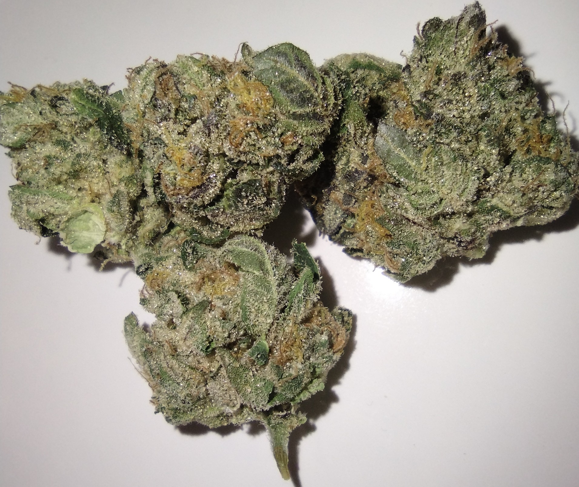 Photograph of product: Pure Bliss Farms - Dulce De Uva - 3.5g - Flower