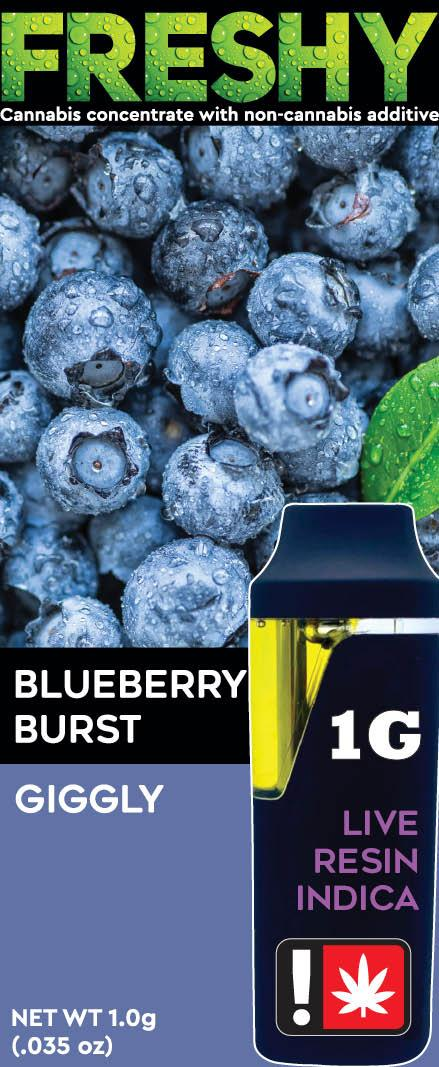 Photograph of product: Freshy 1g Disposable | Blueberry Burst
