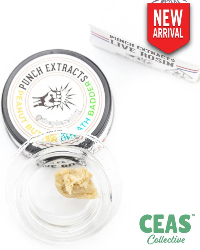 Photograph of product: PUNCH | PEANUT BUTTER BREATH | T3 | 1G | HYBRID