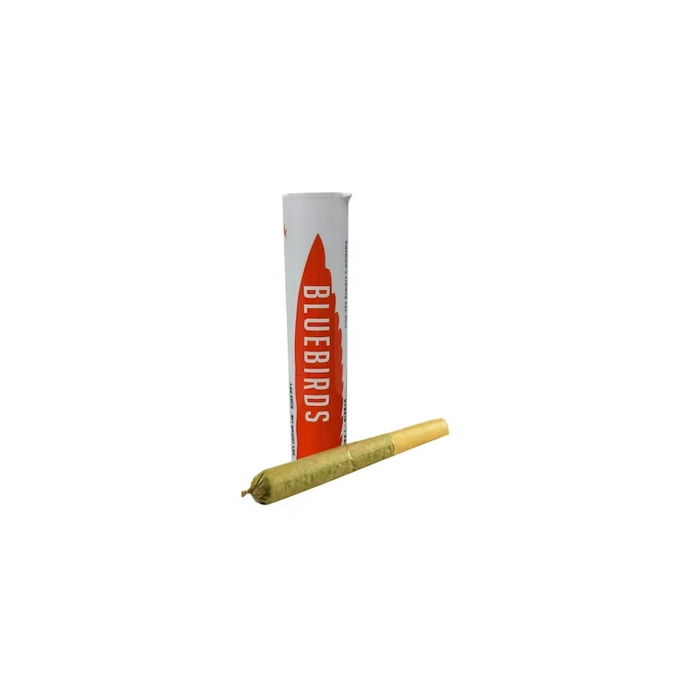 Photograph of product: Gush Mints Pre-Roll 1g