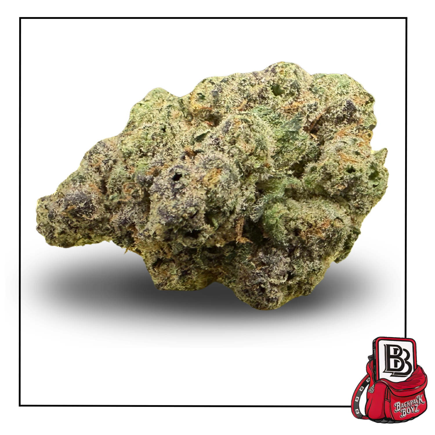 Photograph of product: Thin Mint x Jealousy - Bulk Flower - 28g