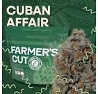 Photograph of product: Cuban Affair | Flower | 28g