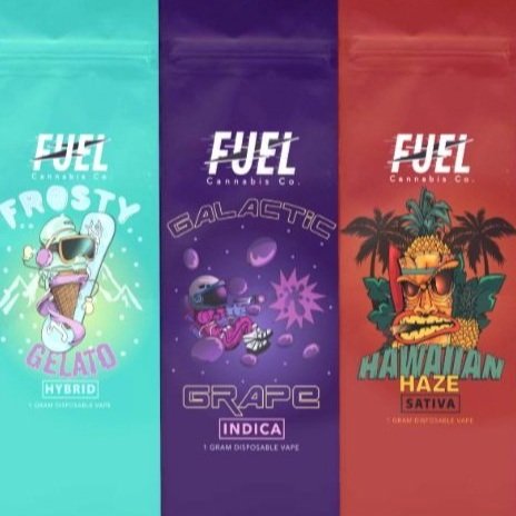 Photograph of product: FUEL | Disposable Vape | Galactic Grape | 1g