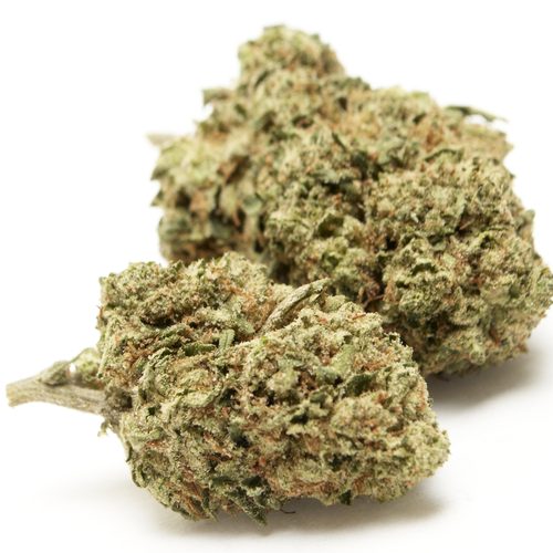 Photograph of product: Flower | Disco Fox - 3.5g