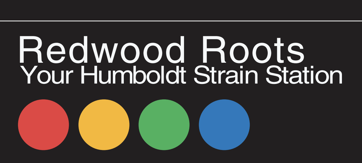 Photograph of product: RIDGELINE 28G CAN