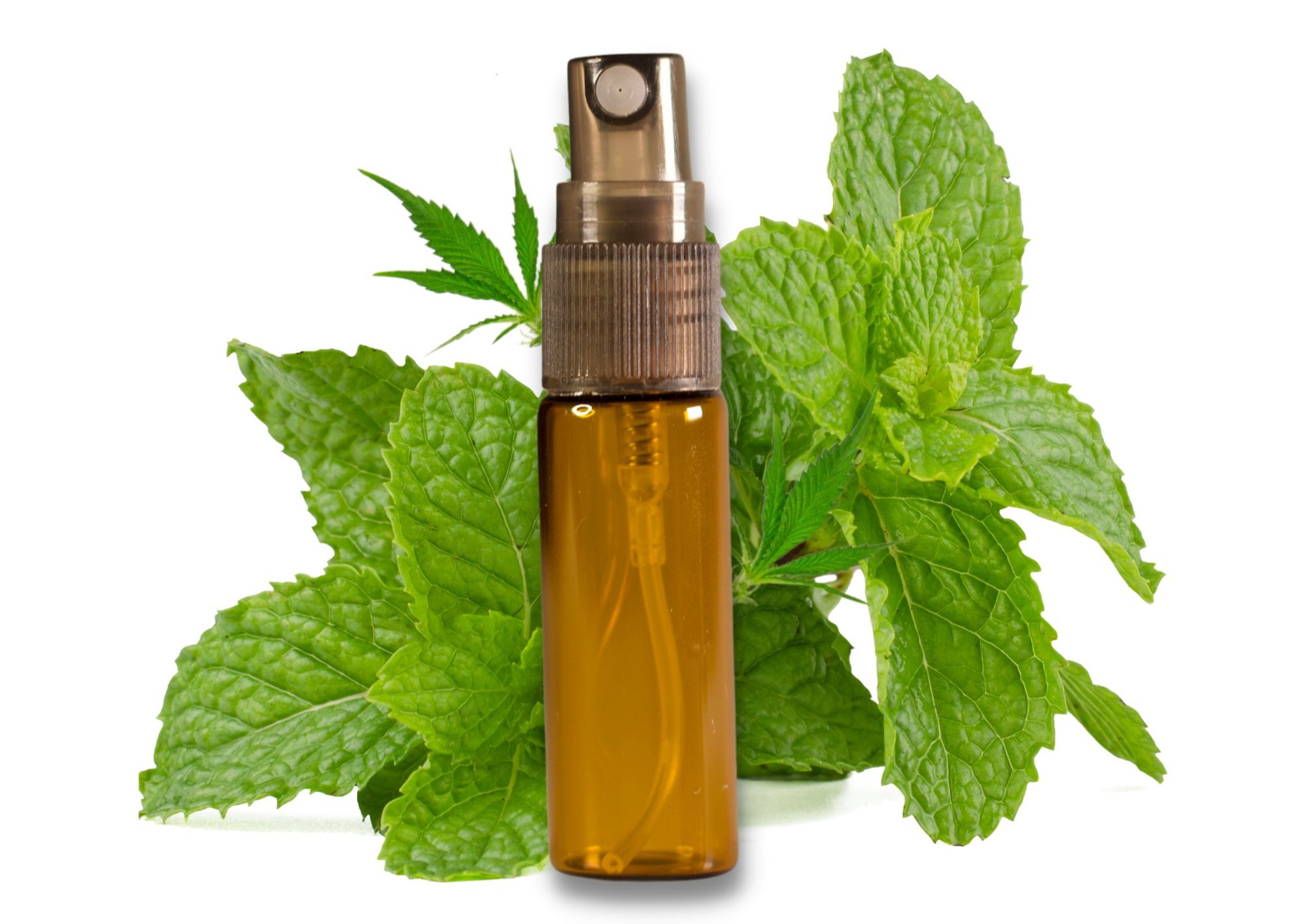 Photograph of product: Aloha Mist - Peppermint