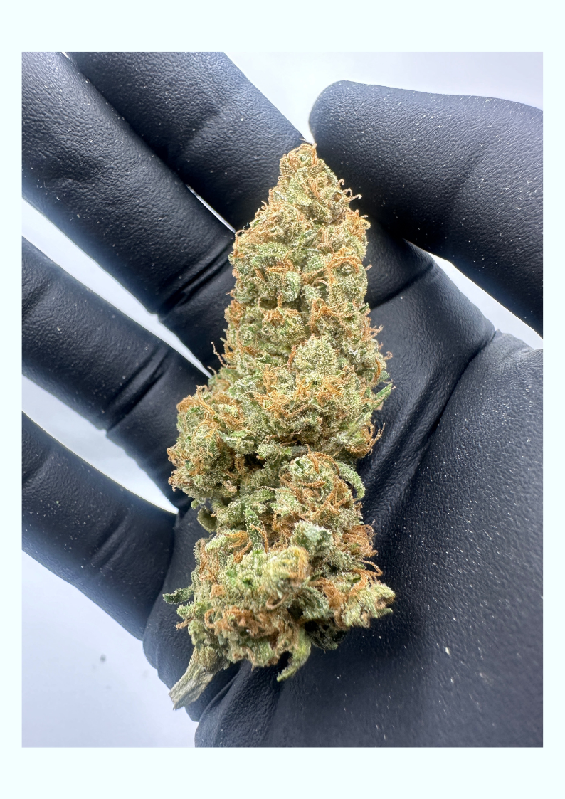 Photograph of product: Chem Runtz - 28g
