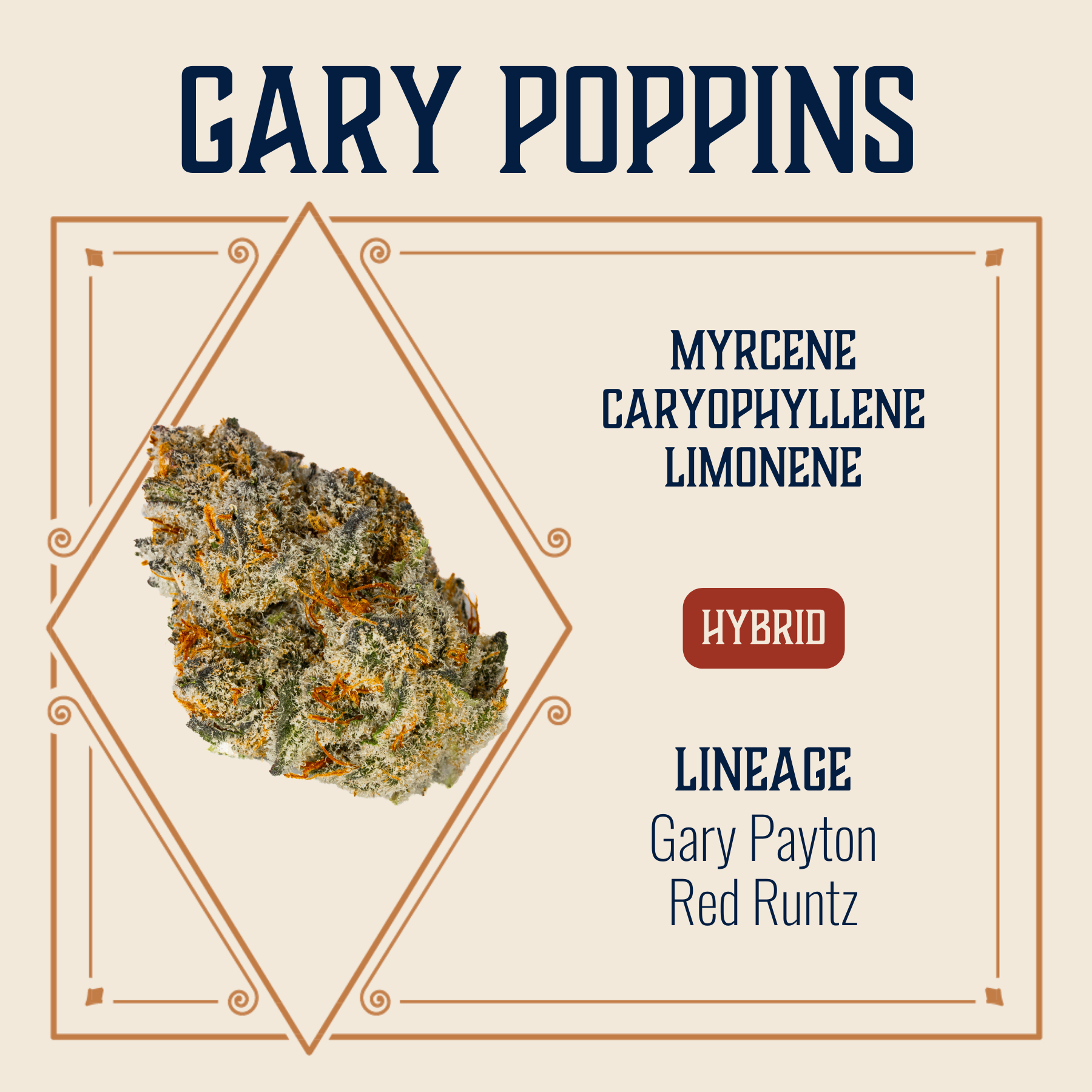 Photograph of product: Gary Poppins Flower | 3.5g