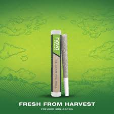 Photograph of product: Nova Farms l Black Cherry Runtz Pre Roll 1pk l 1g