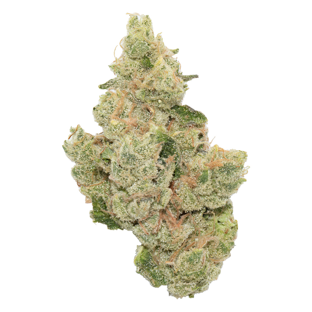 Photograph of product: Hybrid - The Heights Co. - Gram - Tagal0ngz - 1g