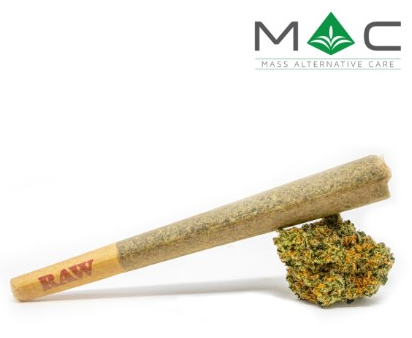 Photograph of product: Pre-Roll | Maui Wowie 2.0 | 1g