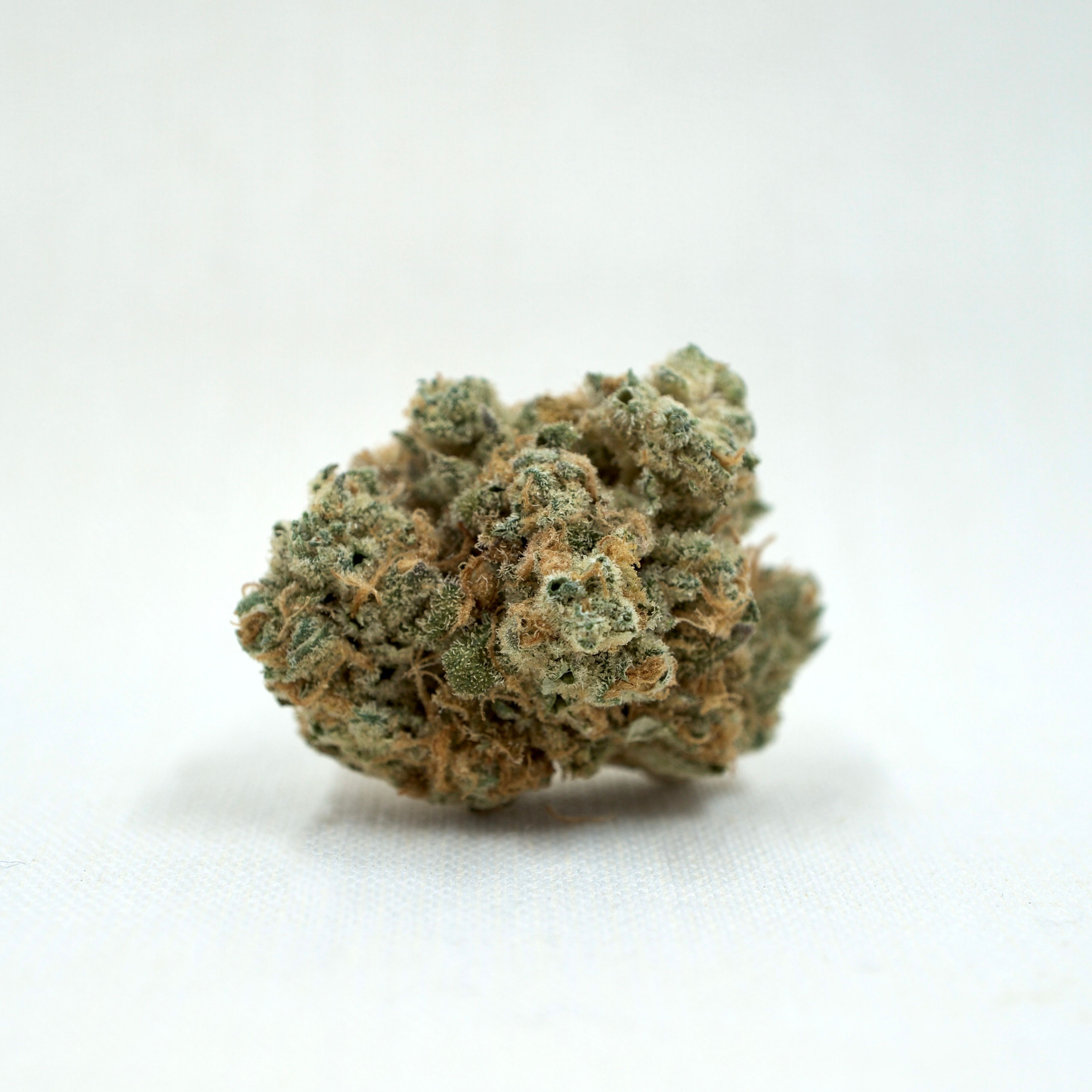Photograph of product: Night Terror OG - 3.5g