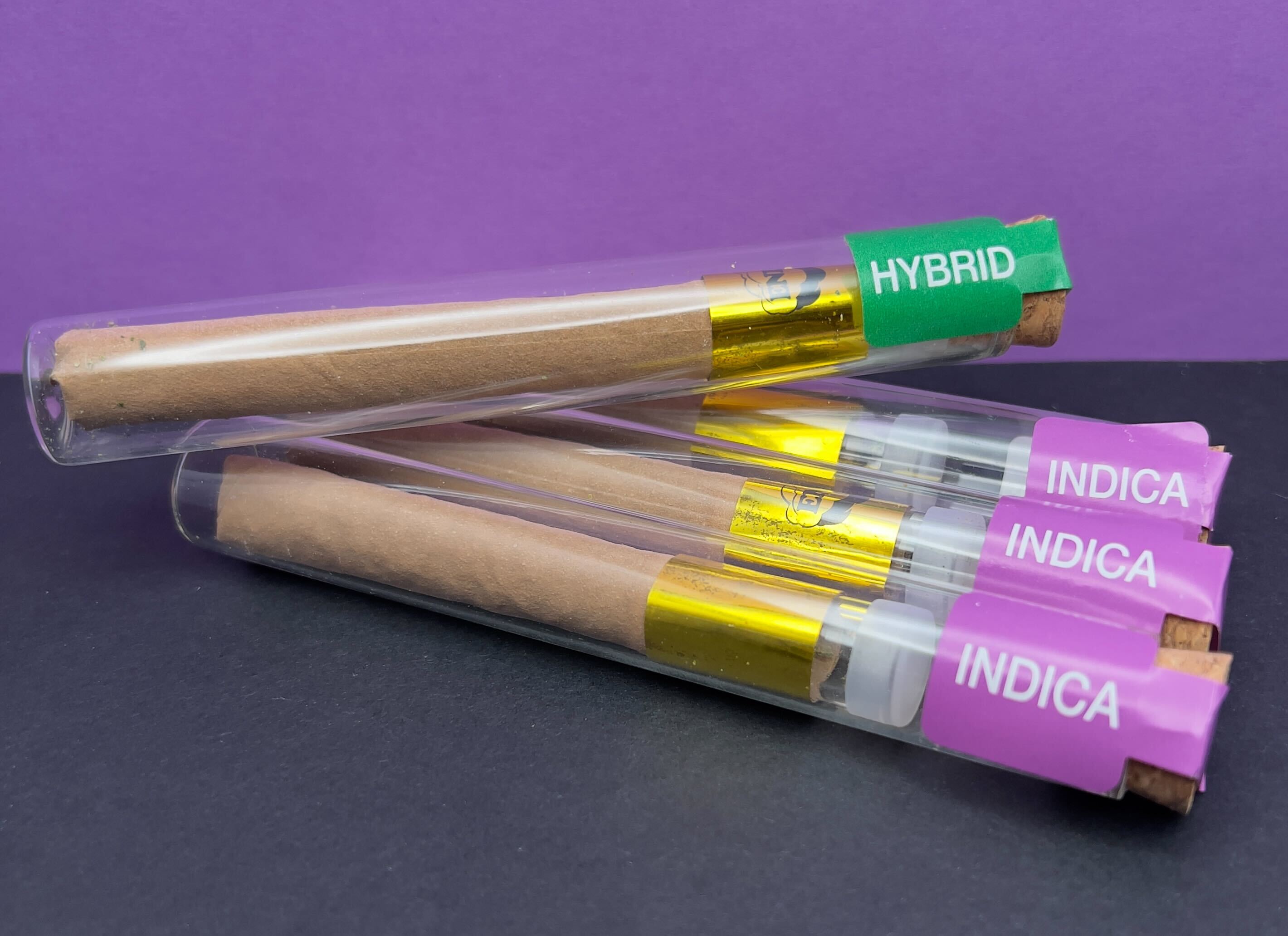 Photograph of Product: Blunts - Plasma Gas - Northstar