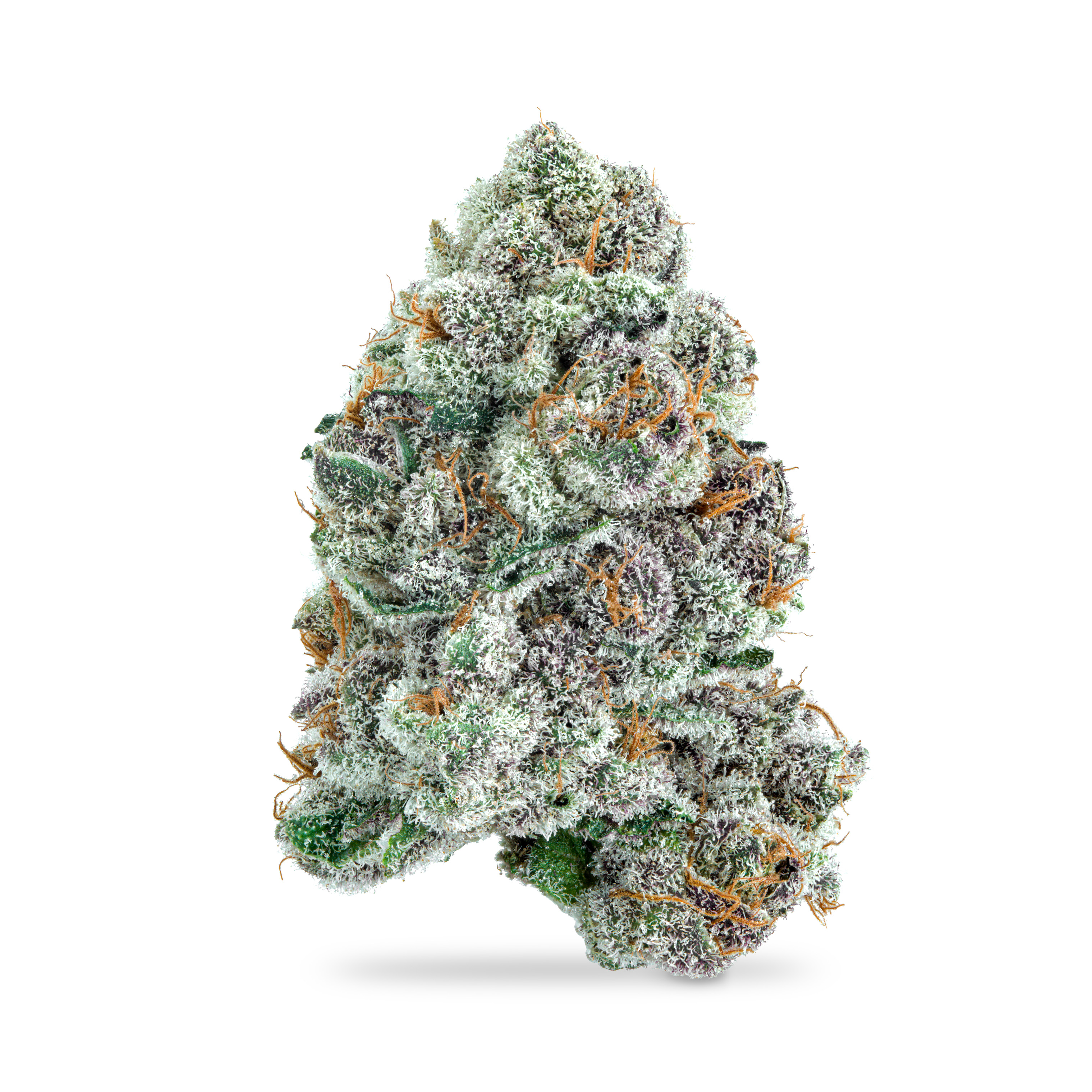 Photograph of product: Cherry Cosmos #5 - 3.5g