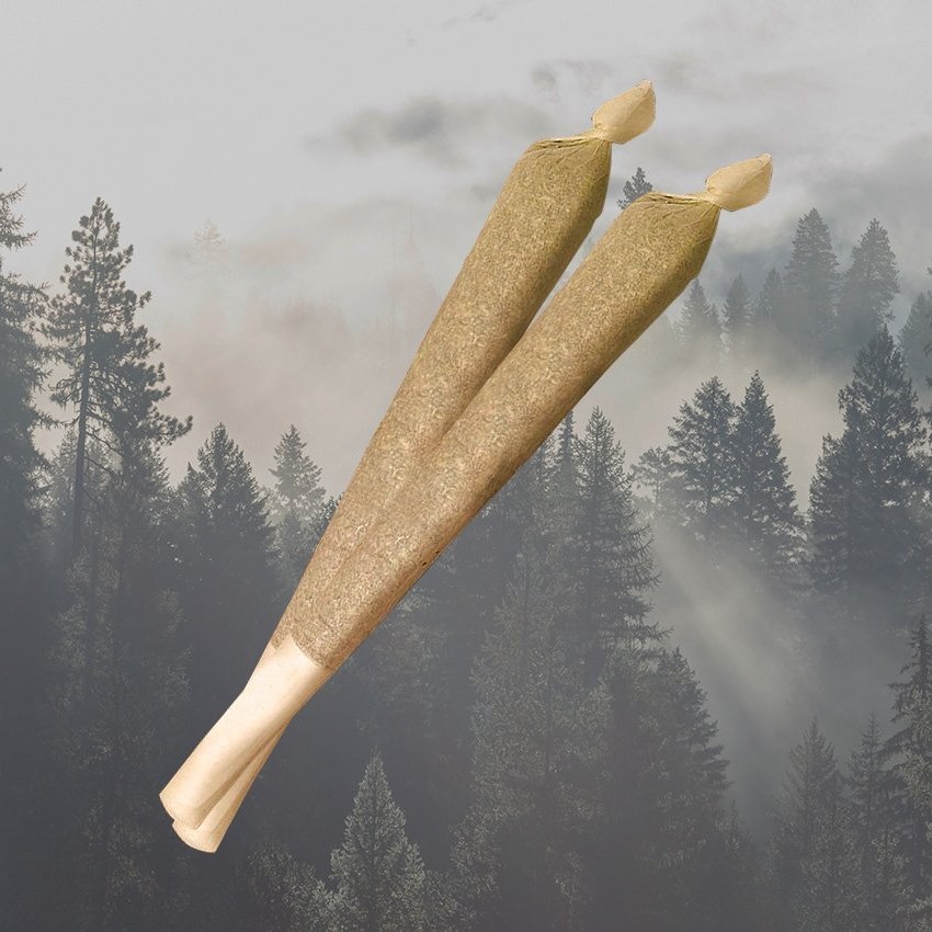 Photograph of product: Elysium Fields - PreRoll - BLUEBERRY OCTANE - - H