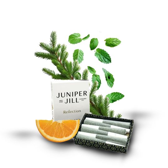 Photograph of product: Juniper Jill | Reflection: Holy Grail | Dogwalker | 6PK
