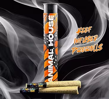 Photograph of product: Animal House | Vanilla Cream | Infused Pre-Roll | 3pk