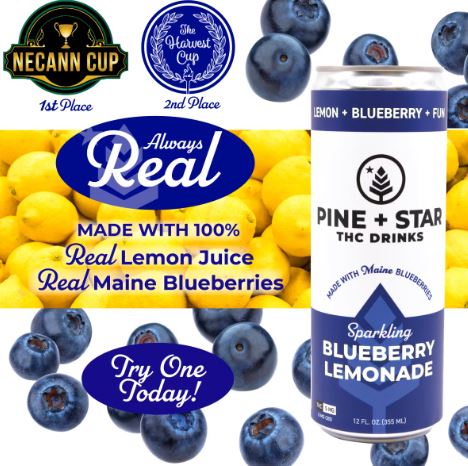 Photograph of product: Blueberry Lemonade I 5mg (Single Serving)