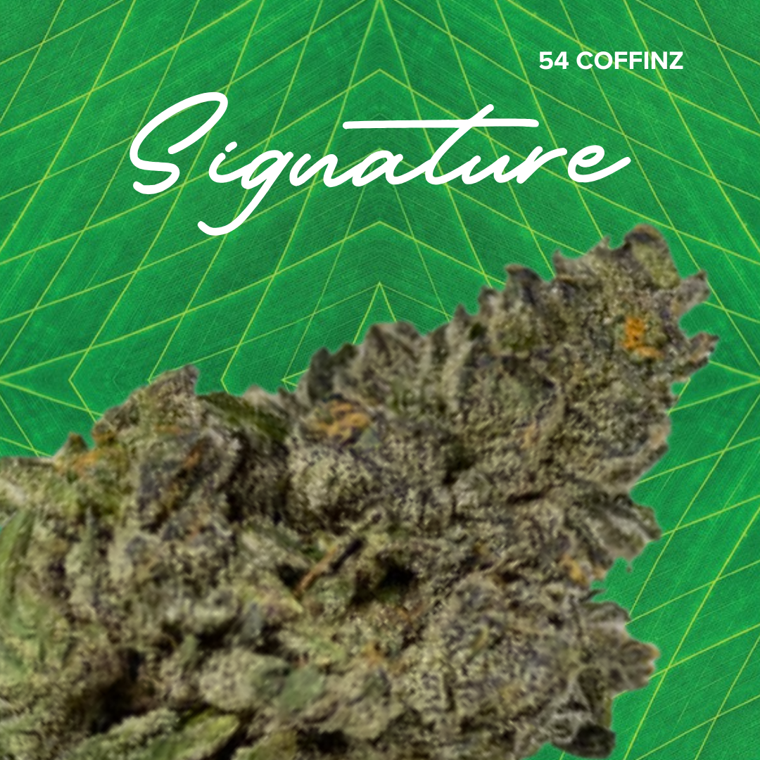 Photograph of product: Signature 3.5g 54 Coffinz