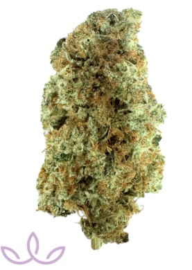 Photograph of product: Lemon S'mores Strain | Flower 3.5g - Discover