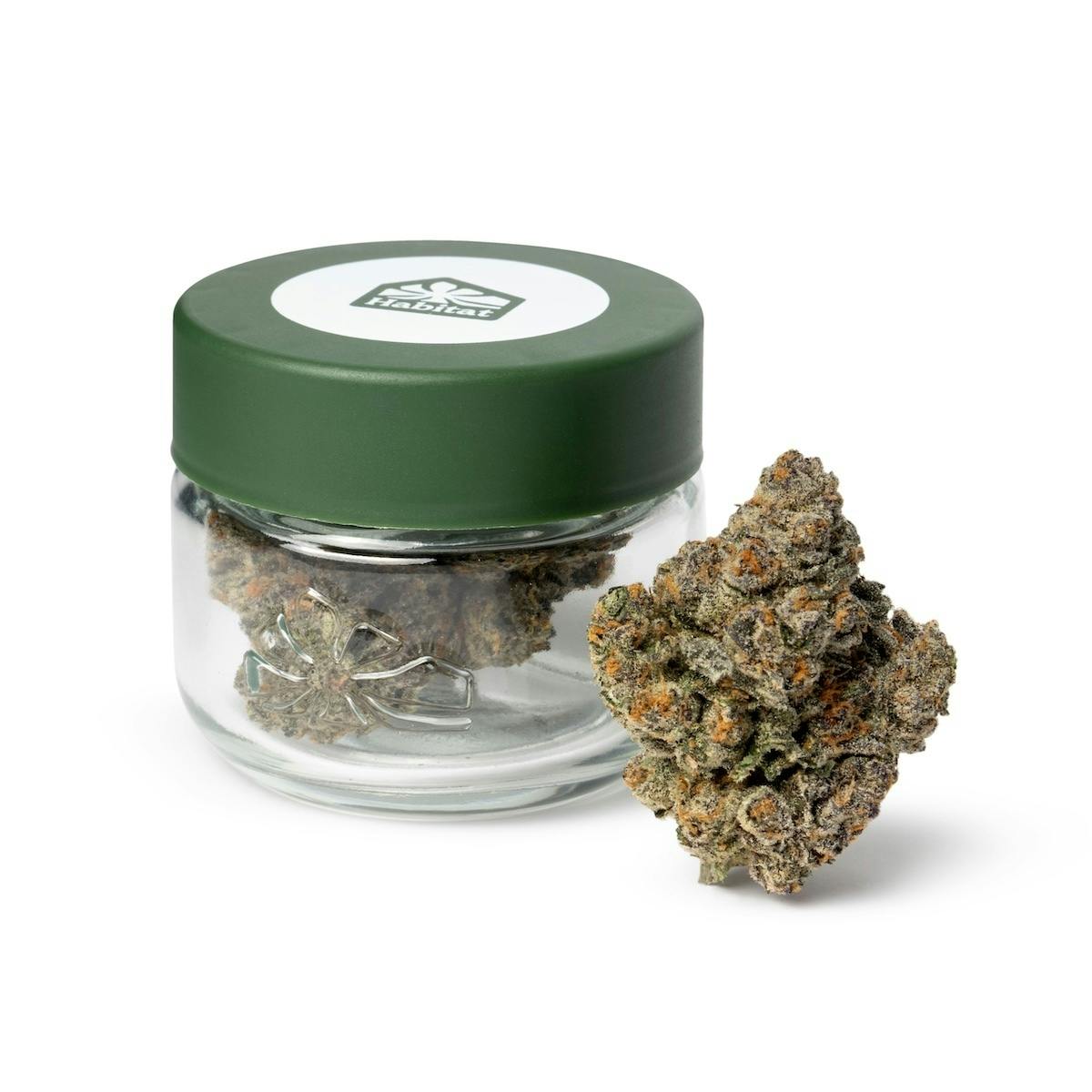 Photograph of product: Habitat - Champagne - - Indoor - Oui'd - 3.5g