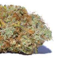 Photograph of product: Highway Horticuture | Malibu Pink Sobe - Deli - 28g