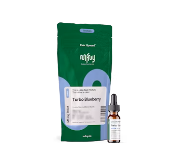 Photograph of product: MFNY | Tincure 300mg | Blueberry Turbo
