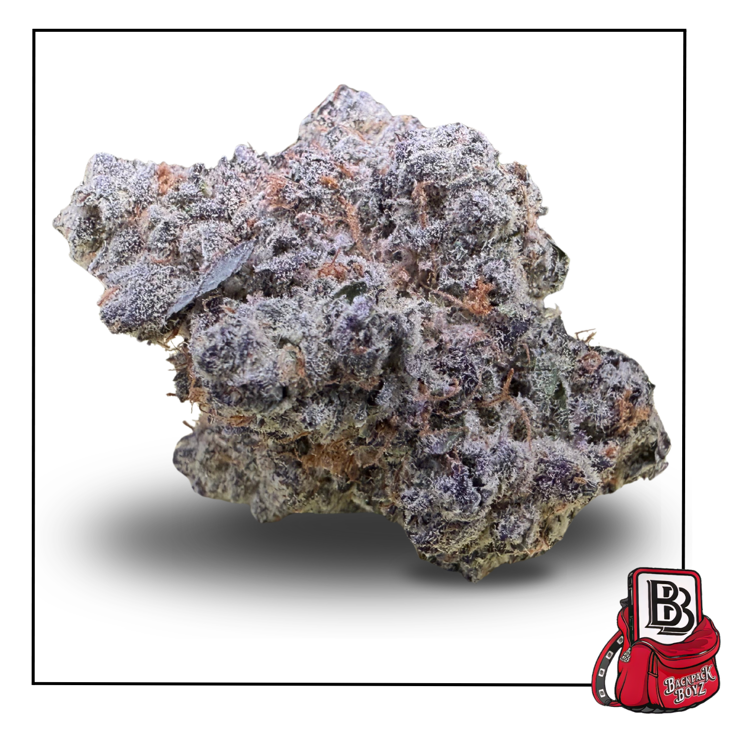 Photograph of product: Gatorz - Bulk Flower - 28g