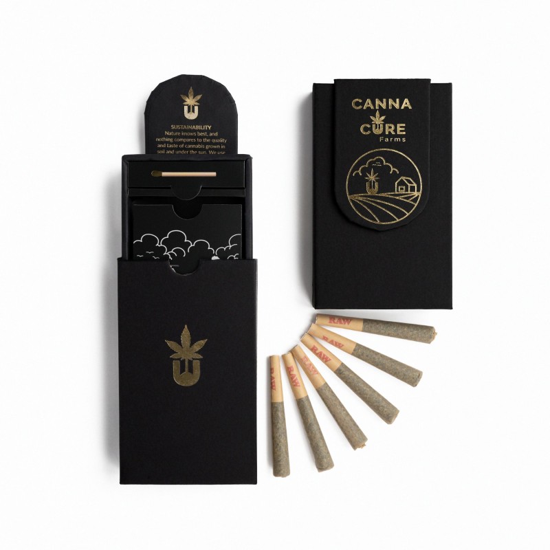 Photograph of product: Bee Jelly | 0.5g Pre-rolls 6-pack