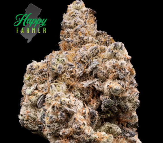 Photograph of product: Happy Farmer | Mac Stomper - 3.5g