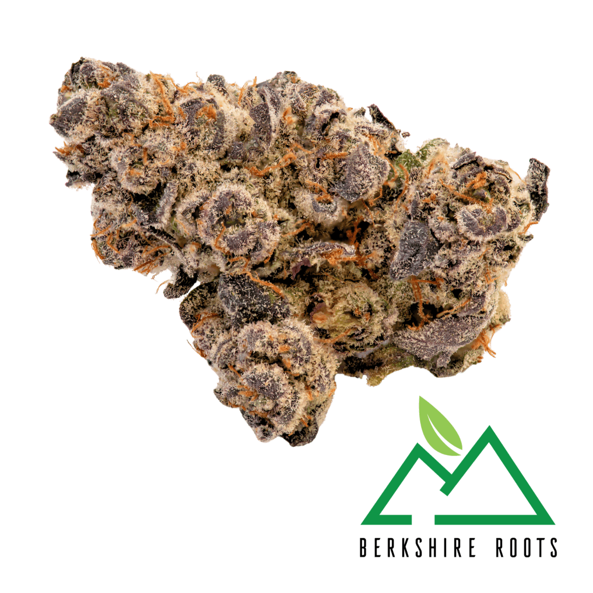 Photograph of product: Gorilla Noir (H) 28g Flw- Berkshire Roots