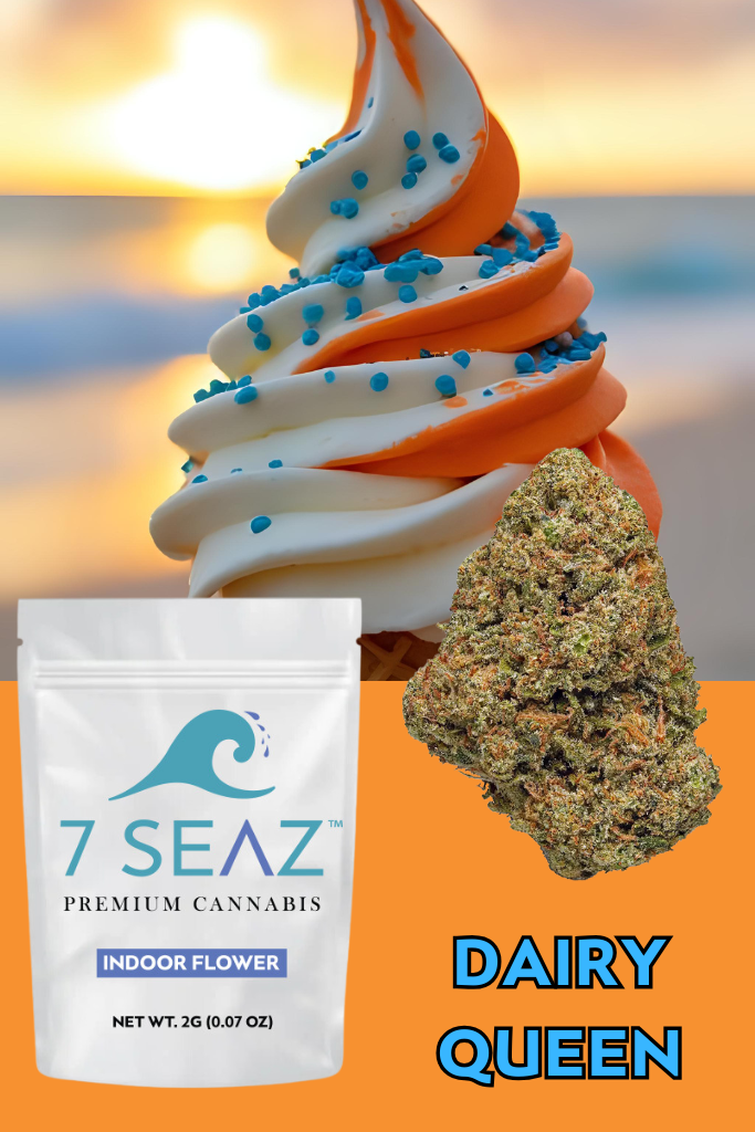 Photograph of product: Dairy Queen (H) - Flower - 2g