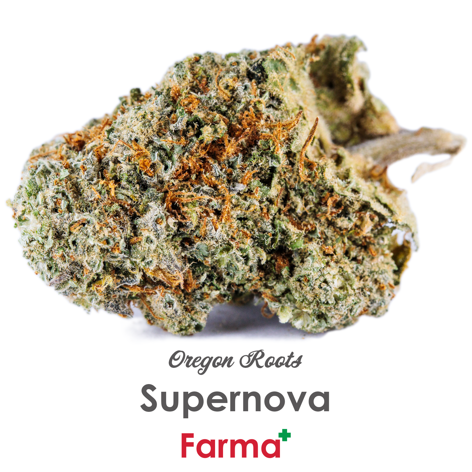 Photograph of product: Oregon Roots Supernova - 28g