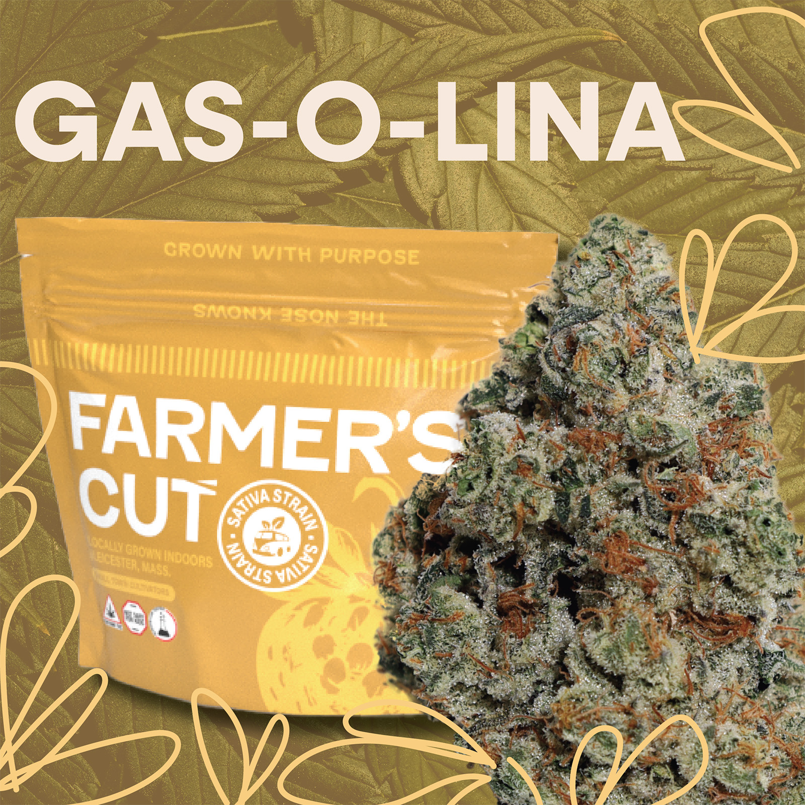 Photograph of product: Gas-o-Lina | Flower | 28g