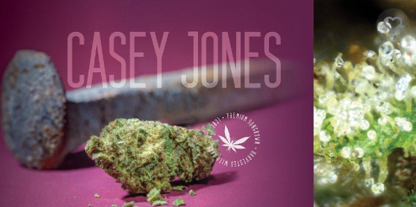 Photograph of product: Casey Jones - 28g