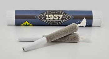 Photograph of product: Blueberry Muffins Pre-Roll 2-Pack | 1g