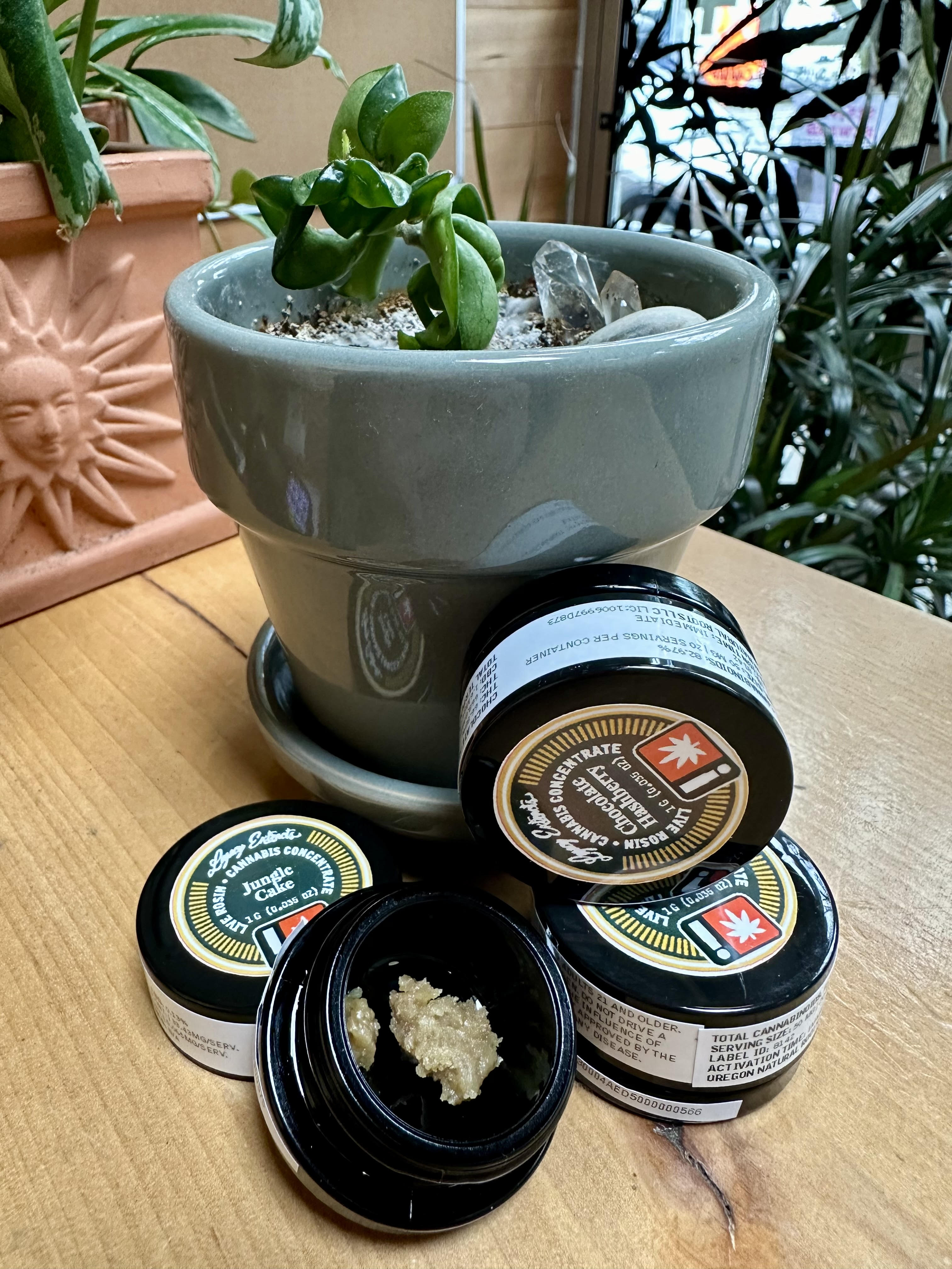 Photograph of product: Jungle Cake | Live Rosin | 1g