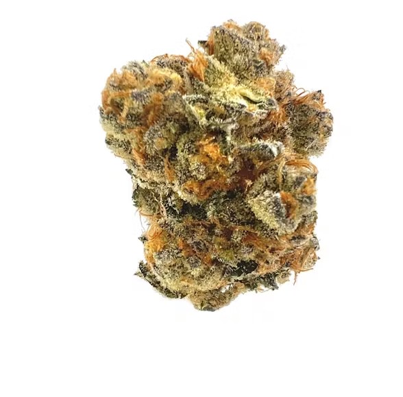 Photograph of product: Voyage Bloom Bling Blaow Prepack Rec - 14g