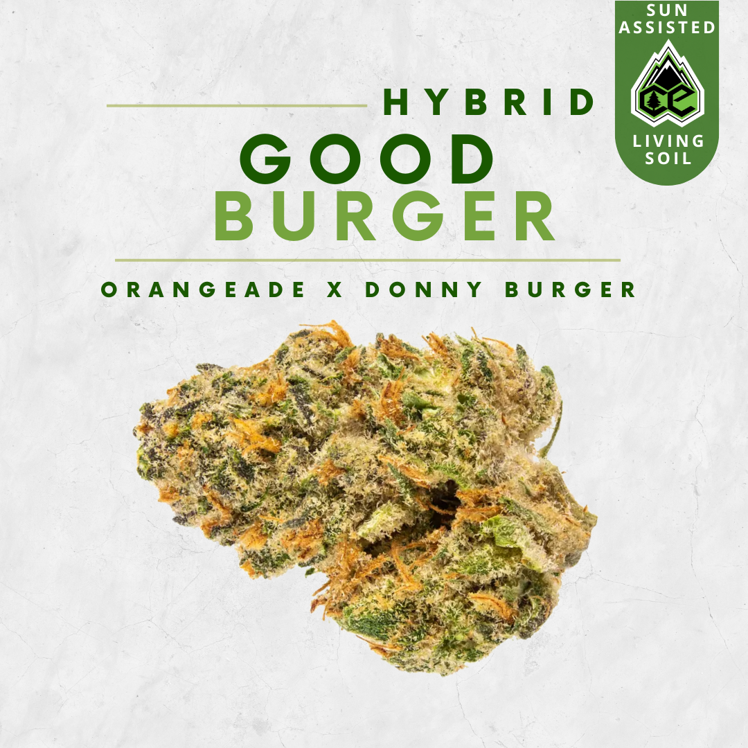 Photograph of Product: Good Burger - 28g
