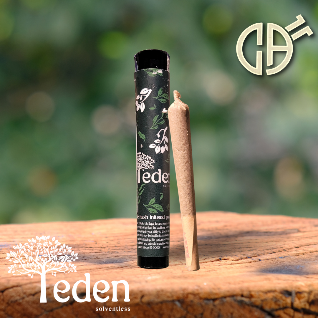 Photograph of product: Eden | Mint Diesel BH Infused PRJ