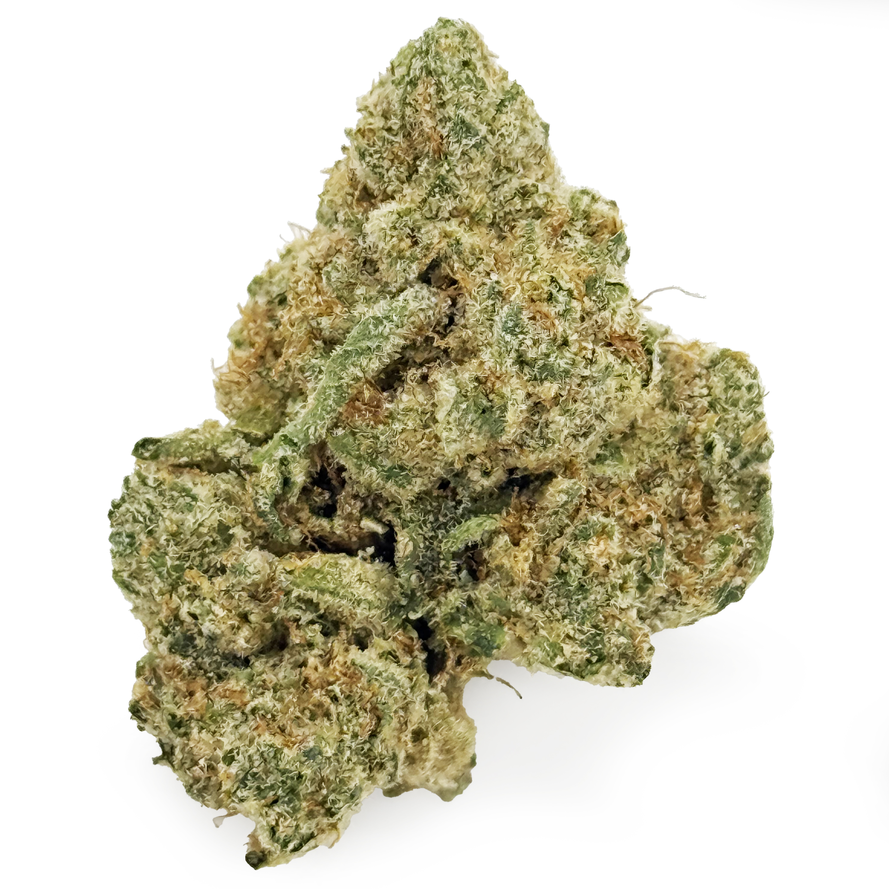 Photograph of product: Pro Gro Tzunami Rec - 70g