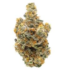 Photograph of Product: Flower | Pre-Packed | Collins Ave | 28g | Grip