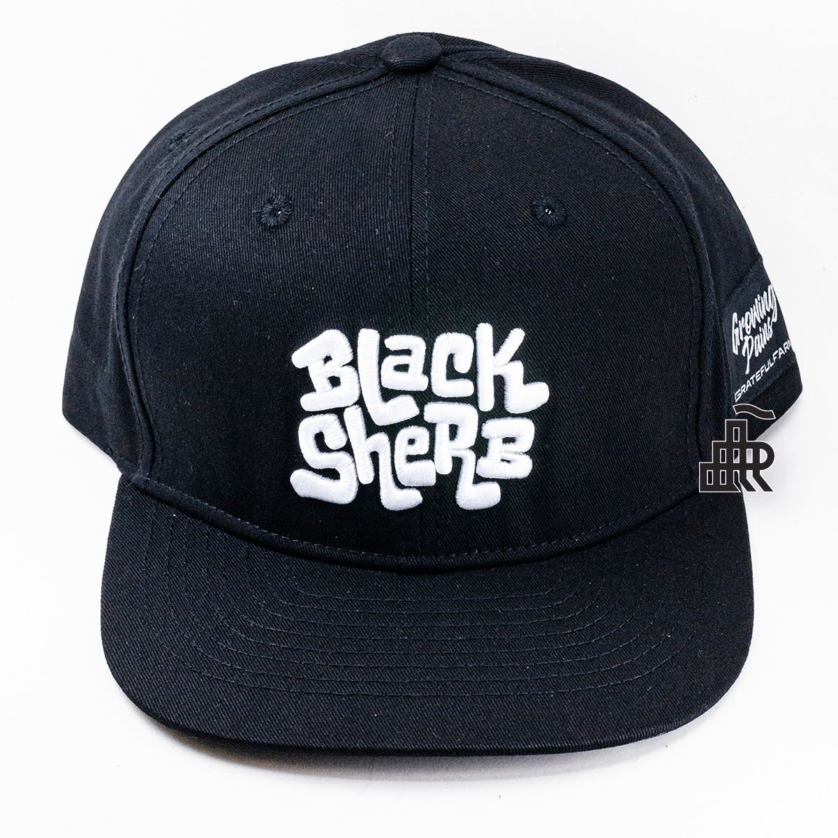 Photograph of Product: Growing Pains | Dad Hat
