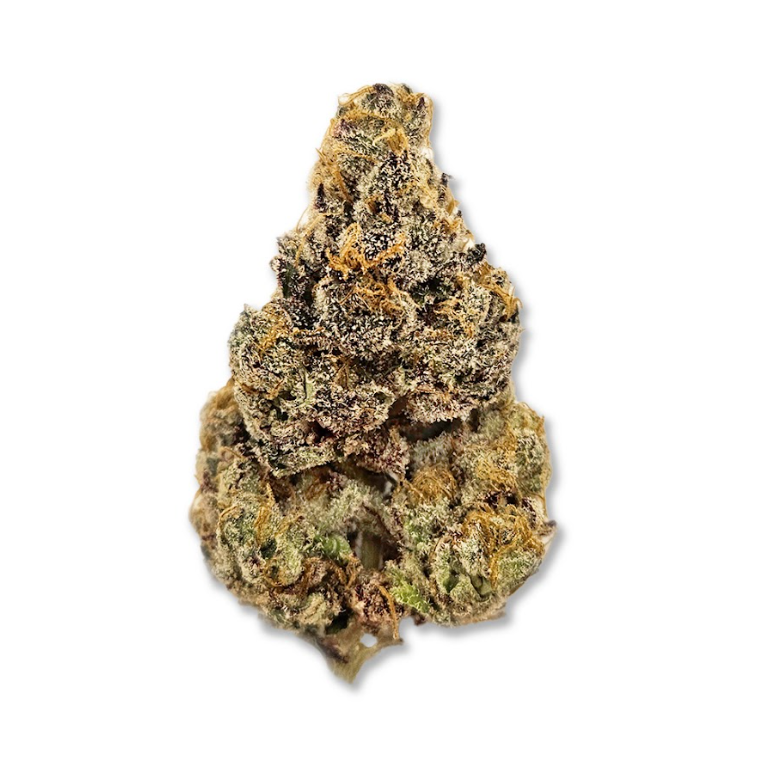 Photograph of product: Jigglers (Oct. '24 Harvest) [available in  jars only] - 28g