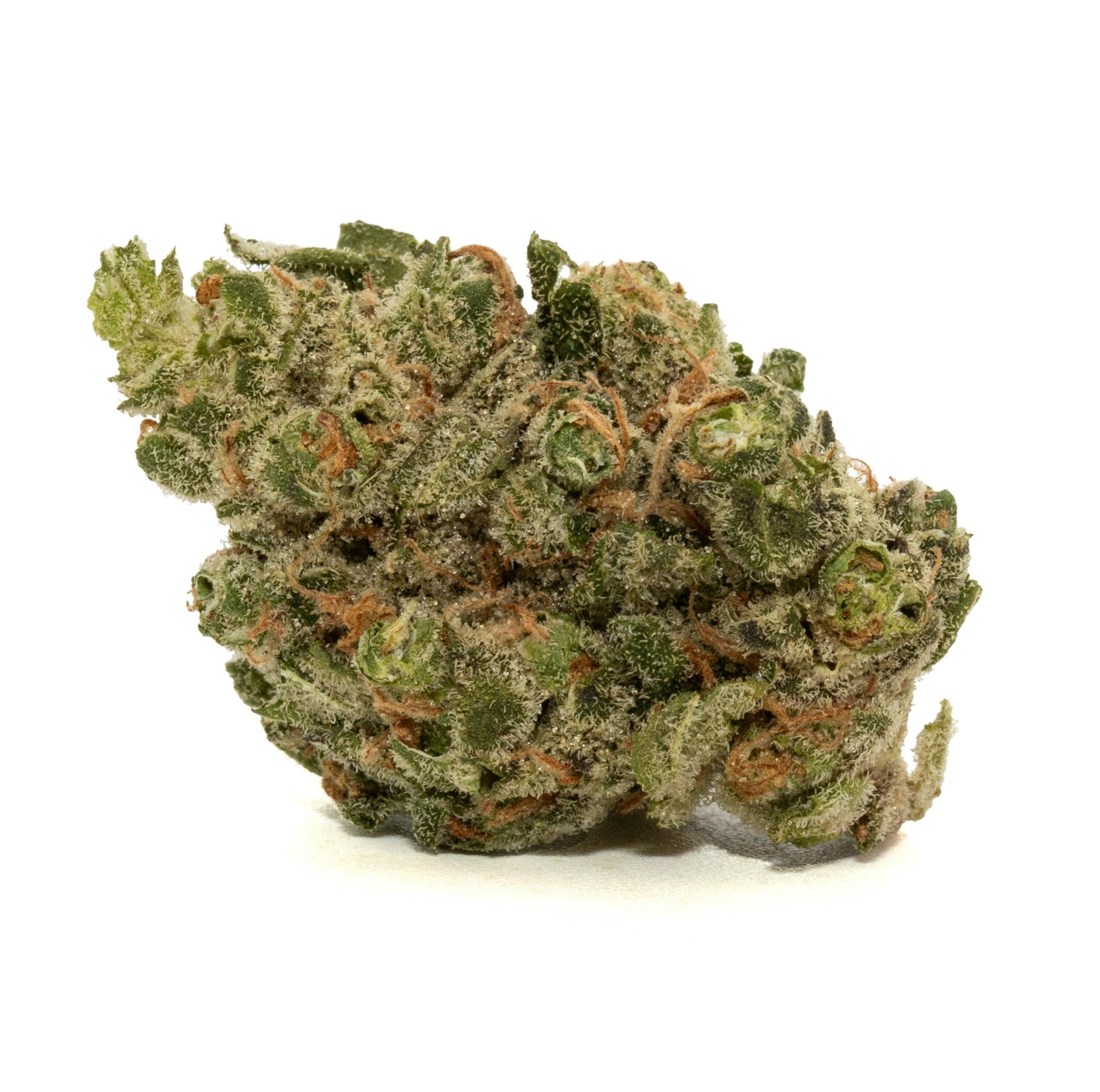 Photograph of product: BIOFUEL [3.5G]