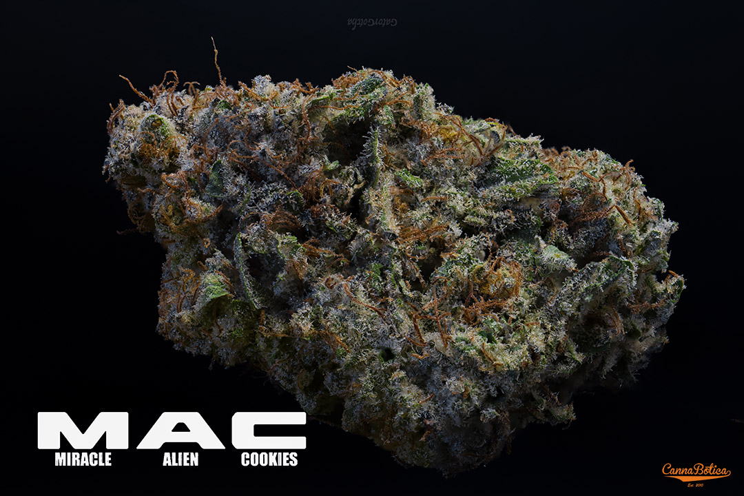 Photograph of product: MAC -Hybrid - 28g