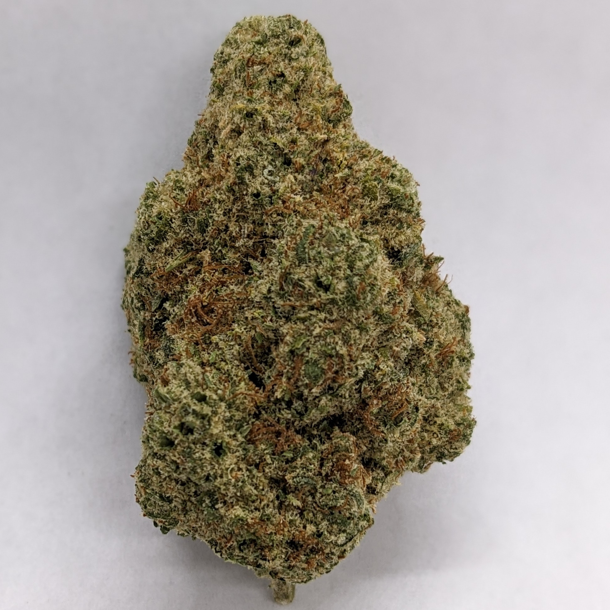 Photograph of product: Space Force (S) - 28g